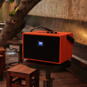LOA DI ĐỘNG ECHO SPACE P6