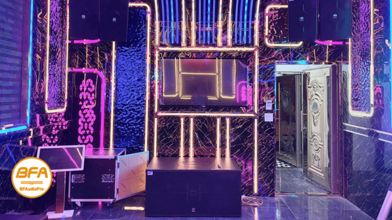 Professional Karaoke Audio Solutions – BF Audio Elevating the Entertainment Experience